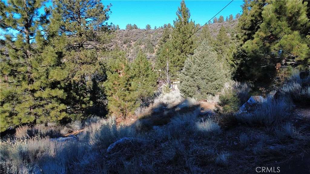 0.23 Acres of Land for Sale in Pine Mountain Club, California