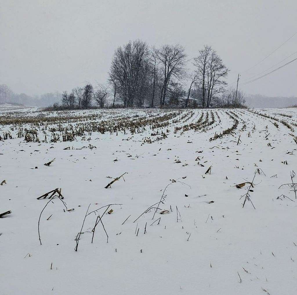 1.5 Acres of Residential Land for Sale in Lexington, Ohio