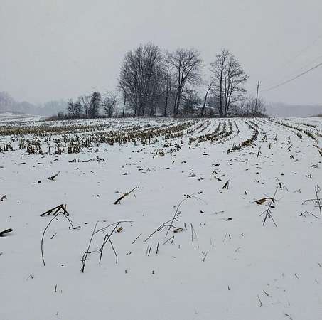 1.5 Acres of Residential Land for Sale in Lexington, Ohio