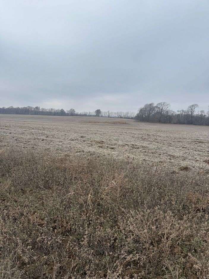 80 Acres of Agricultural Land for Sale in Dexter, Missouri