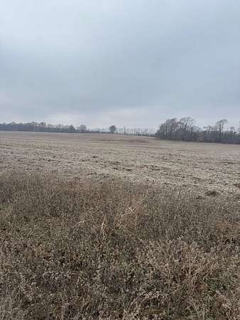 80 Acres of Agricultural Land for Sale in Dexter, Missouri