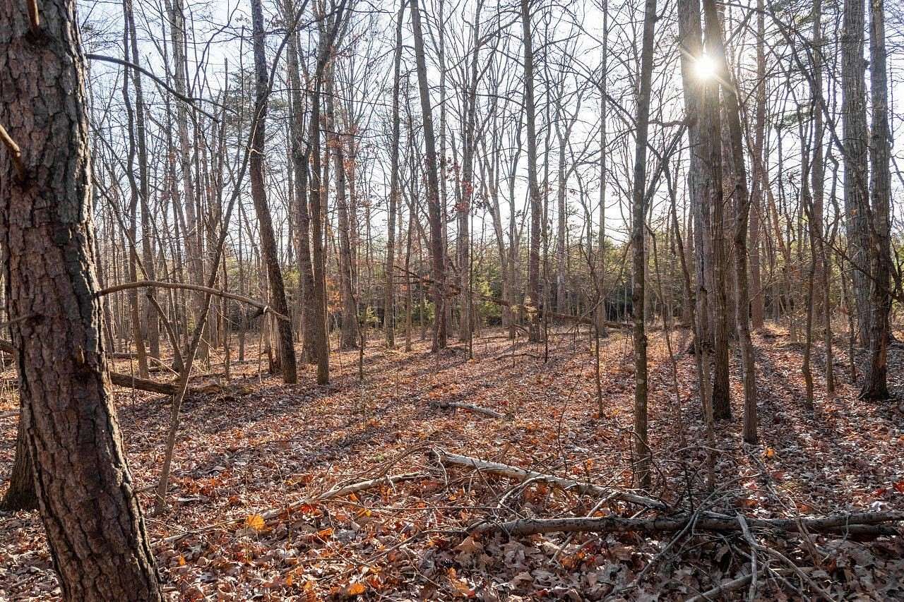 1.6 Acres of Residential Land for Sale in Luray, Virginia