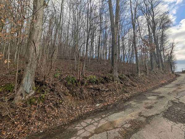3.3 Acres of Residential Land for Sale in Worthington, West Virginia