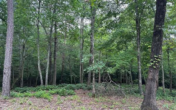 1.1 Acres of Land for Sale in Brasstown, North Carolina