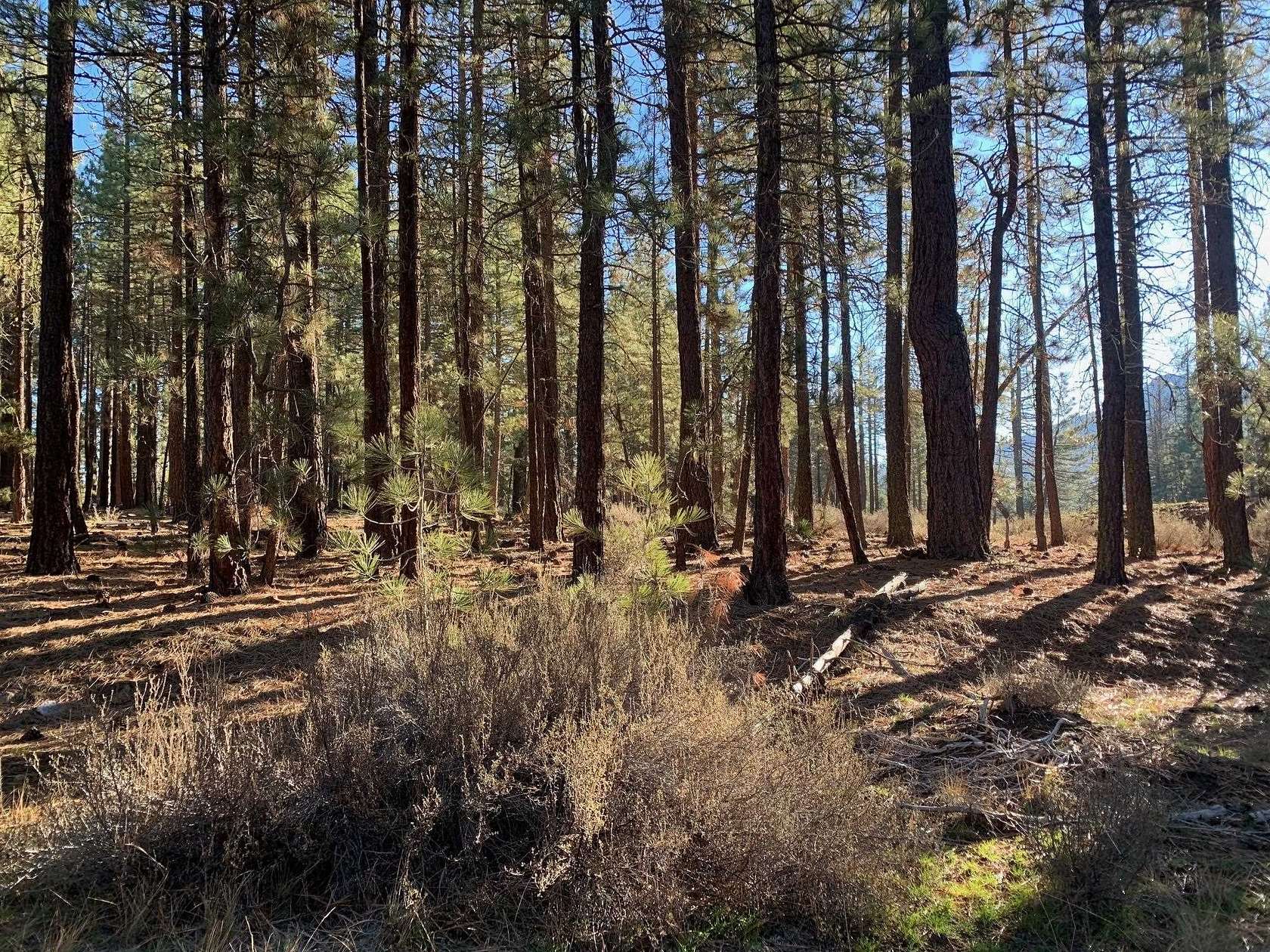 0.32 Acres of Residential Land for Sale in Portola, California