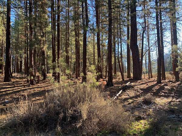 0.32 Acres of Residential Land for Sale in Portola, California