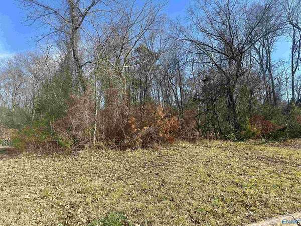 0.22 Acres of Residential Land for Sale in Huntsville, Alabama