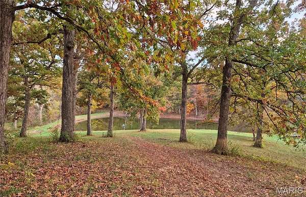15 Acres of Recreational & Residential Land for Sale in Eolia, Missouri