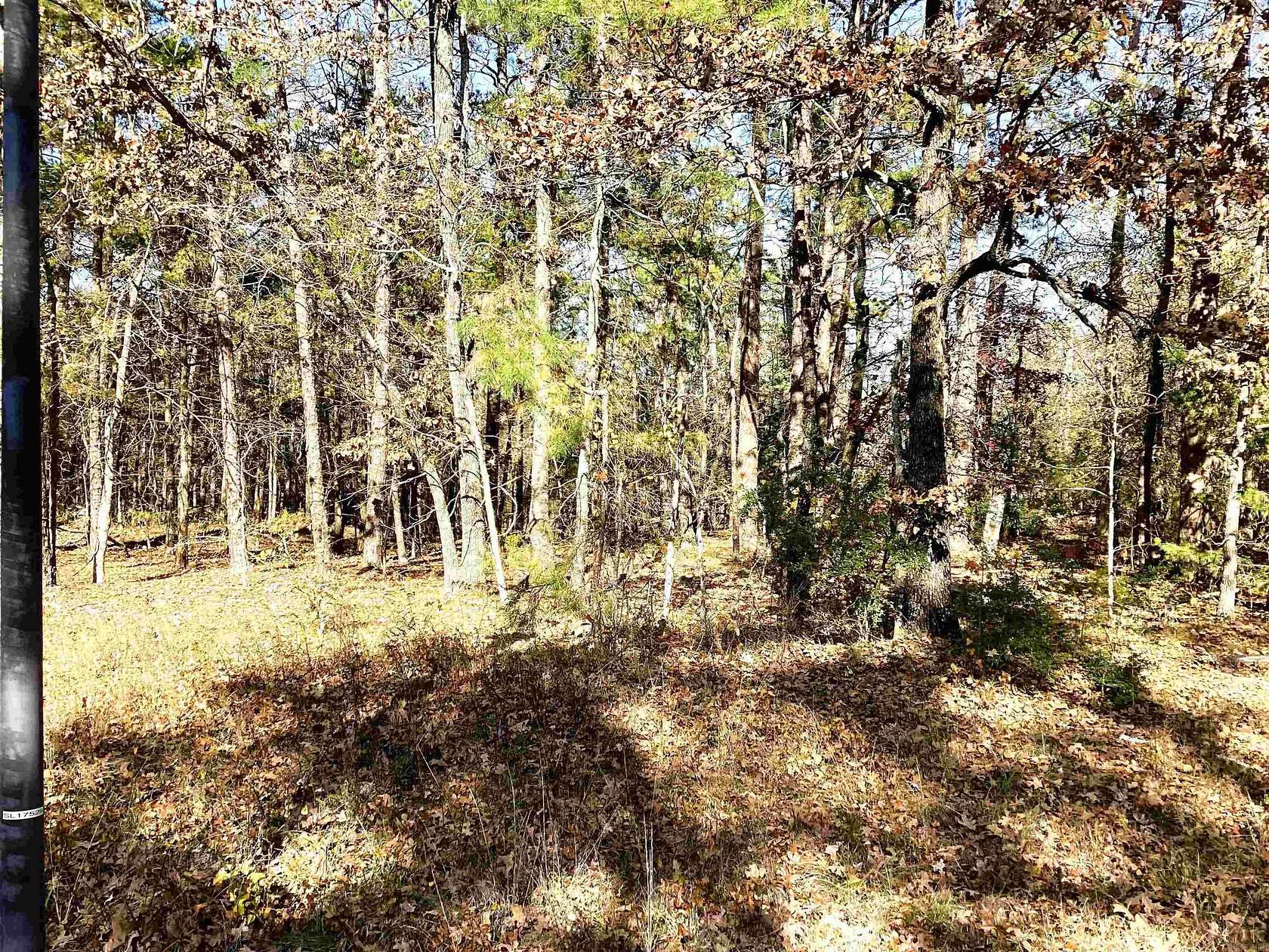 0.39 Acres of Residential Land for Sale in Hot Springs Village, Arkansas