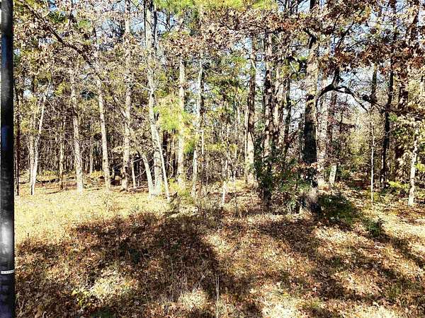 0.39 Acres of Residential Land for Sale in Hot Springs Village, Arkansas