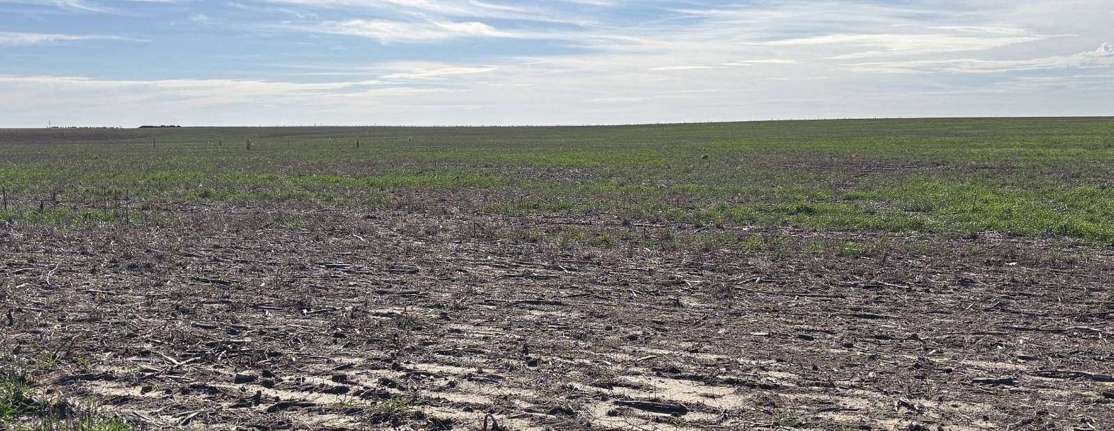 317 Acres of Agricultural Land for Sale in Hoxie, Kansas