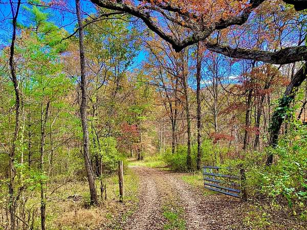 15.8 Acres of Land for Sale in Hillsboro, West Virginia