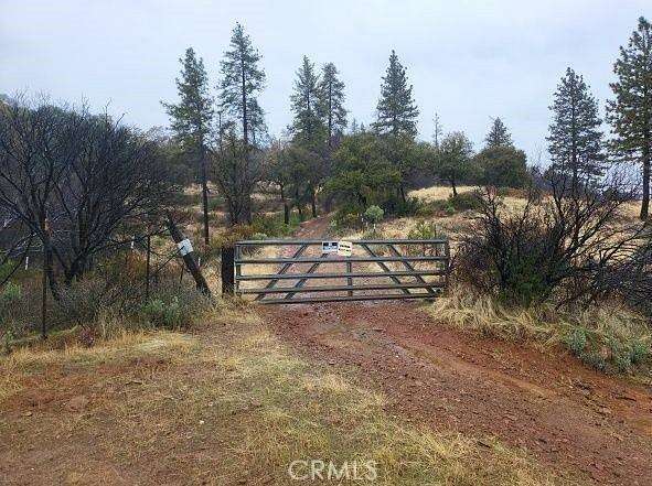 11 Acres of Land for Sale in Berry Creek, California