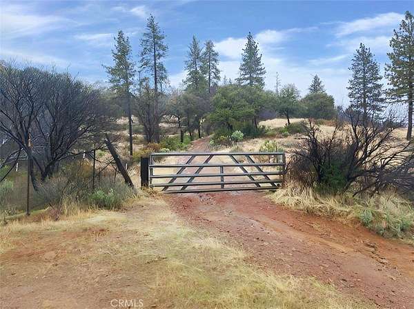 11 Acres of Land for Auction in Berry Creek, California