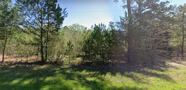 100 Acres of Land for Sale in Palestine, Texas