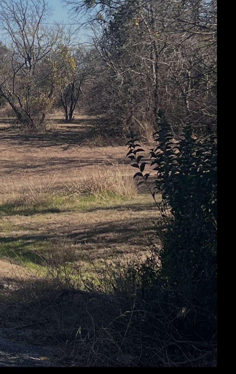 0.51 Acres of Residential Land for Sale in Runaway Bay, Texas