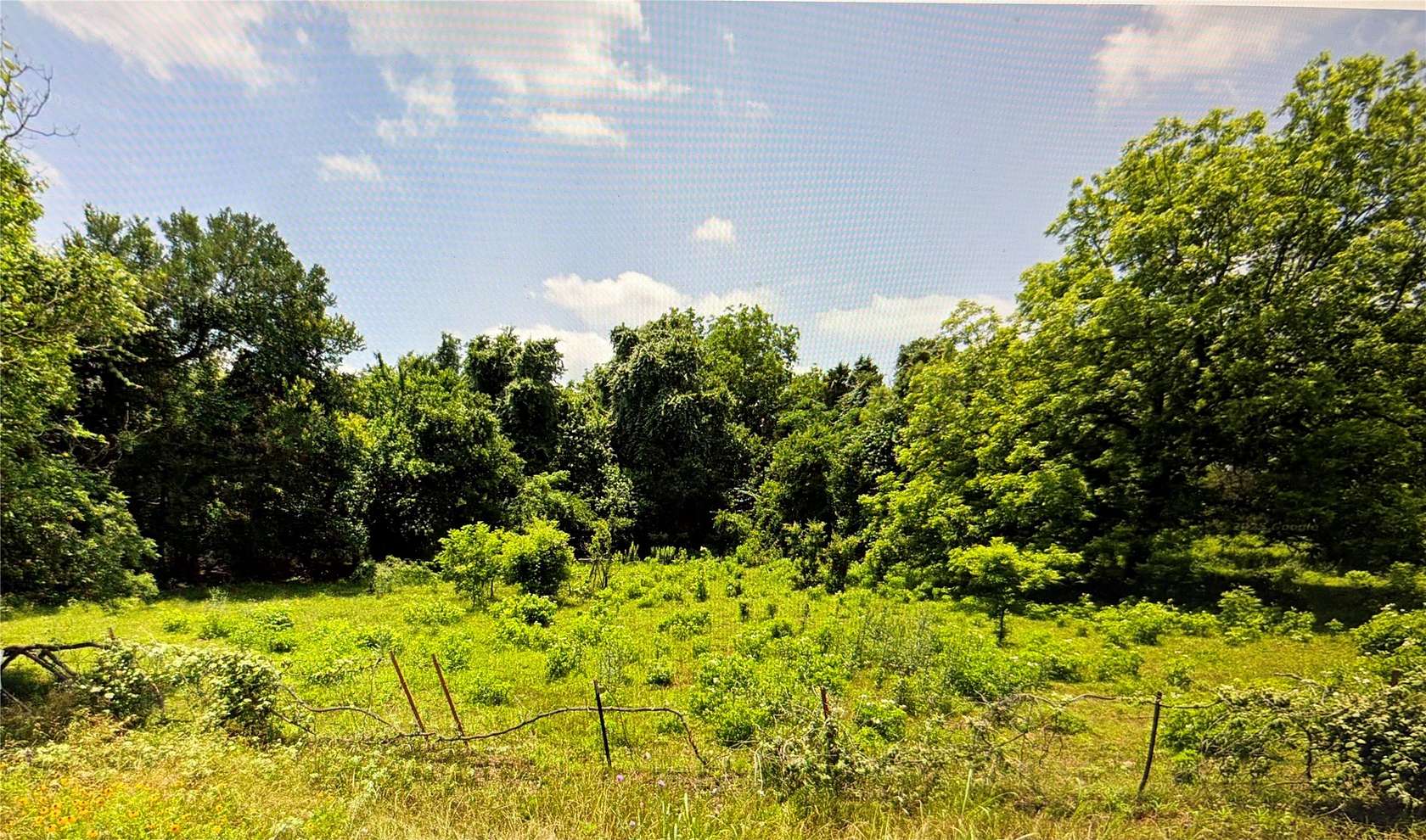 32.3 Acres of Recreational & Residential Land for Sale in Hillsboro, Texas