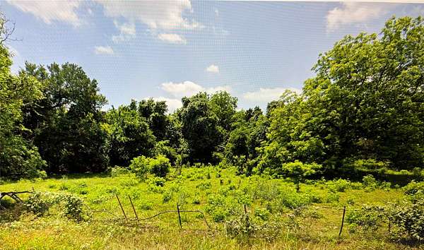 32.3 Acres of Recreational & Residential Land for Sale in Hillsboro, Texas