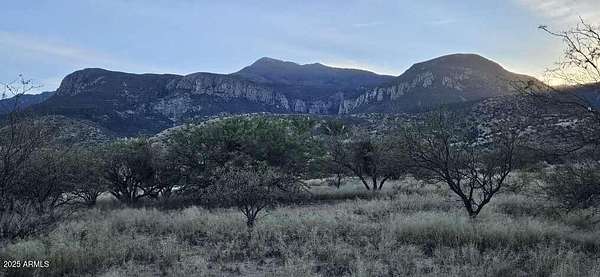1.25 Acres of Residential Land for Sale in Hereford, Arizona