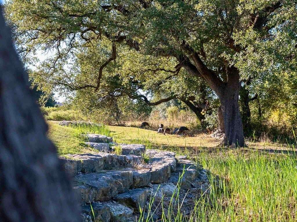 0.31 Acres of Residential Land for Sale in Cleburne, Texas