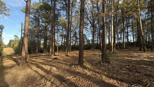 5 Acres of Residential Land for Sale in Sandy Hook, Mississippi