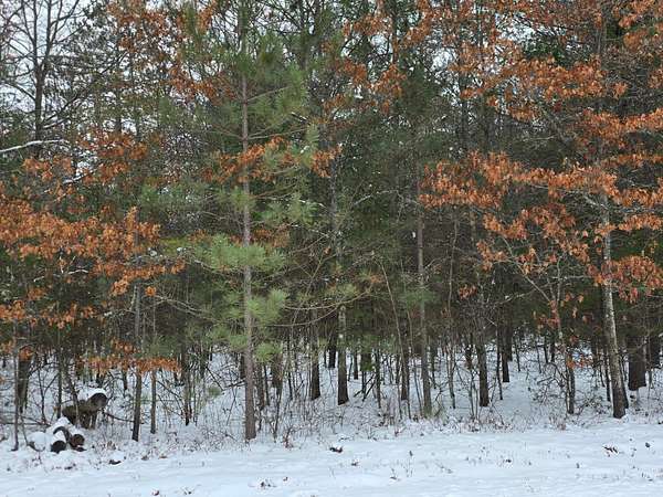 2 Acres of Residential Land for Sale in Tomahawk, Wisconsin
