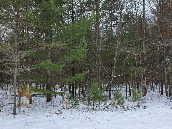 1 Acre of Residential Land for Sale in Wausau, Wisconsin