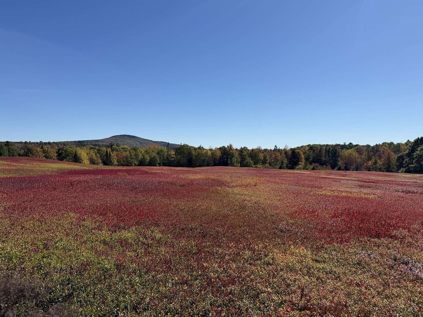 62 Acres of Recreational Land for Sale in Blue Hill, Maine