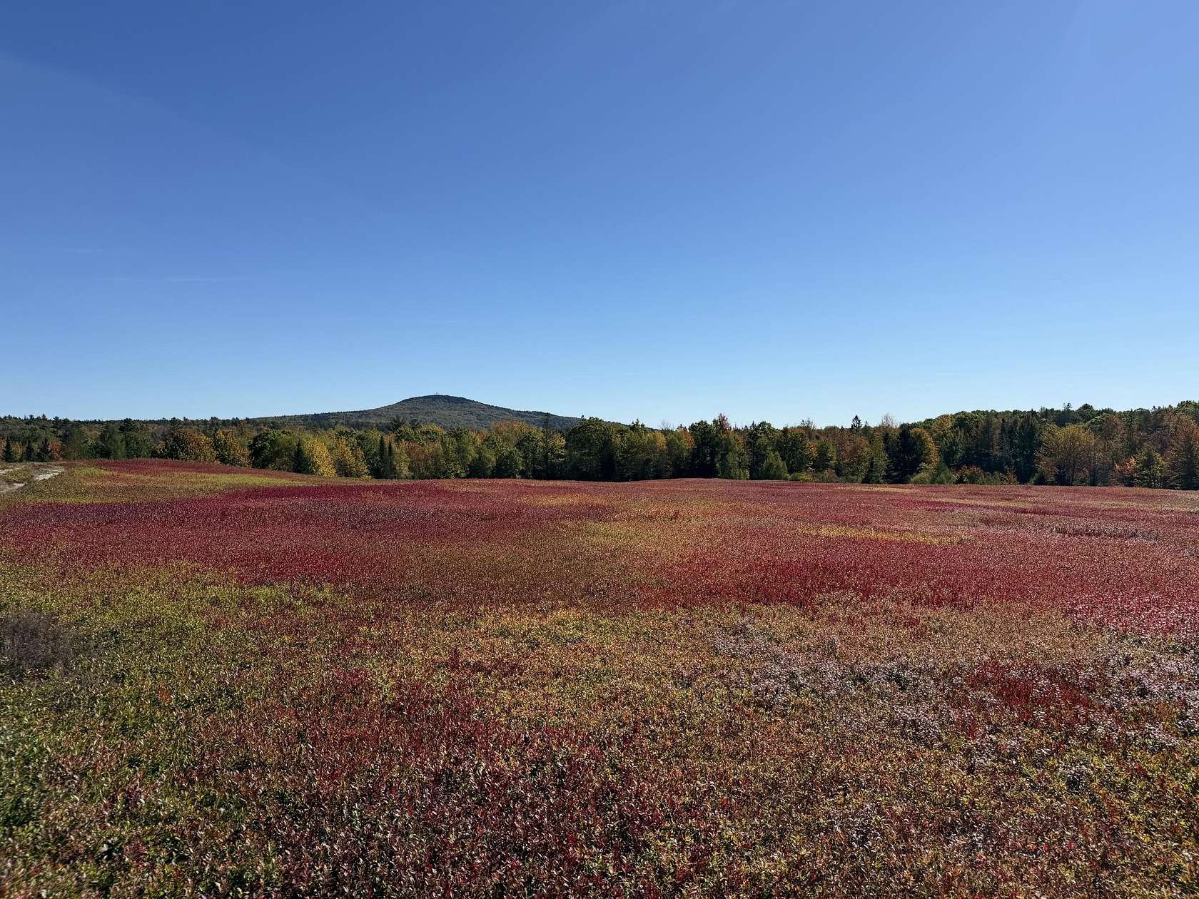 62 Acres of Recreational Land for Sale in Blue Hill, Maine
