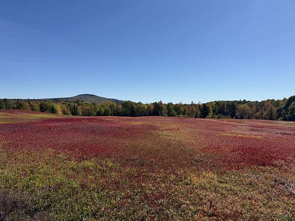 62 Acres of Recreational Land for Sale in Blue Hill, Maine