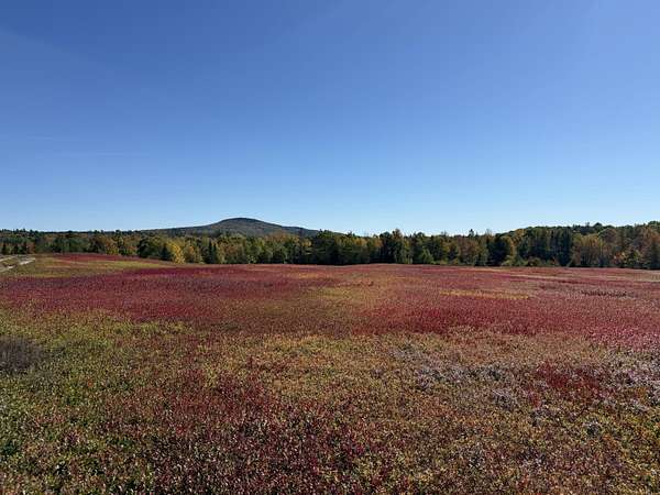 62 Acres of Recreational Land for Sale in Blue Hill, Maine