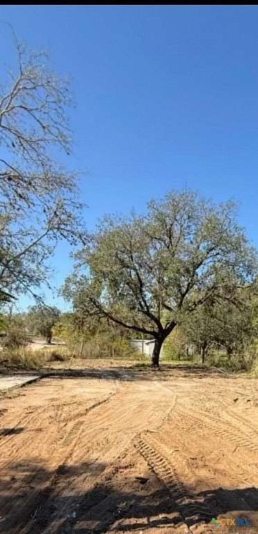 0.17 Acres of Improved Residential Land for Sale in Pleasanton, Texas