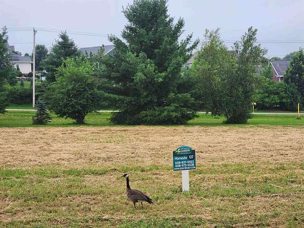 0.68 Acres of Residential Land for Sale in Sun Prairie, Wisconsin