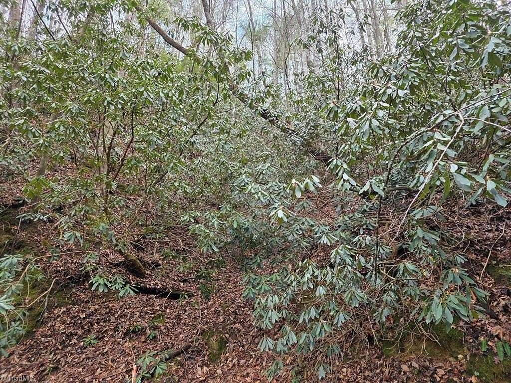 1.13 Acres of Residential Land for Sale in Ferguson, North Carolina