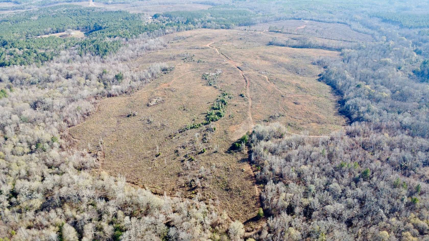 205 Acres of Recreational Land for Sale in La Fayette, Alabama