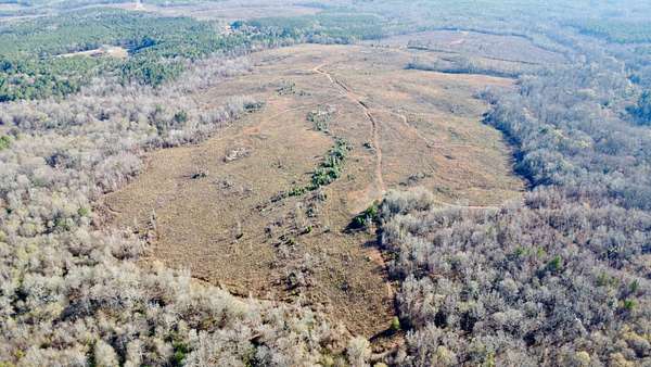 205 Acres of Recreational Land for Sale in La Fayette, Alabama