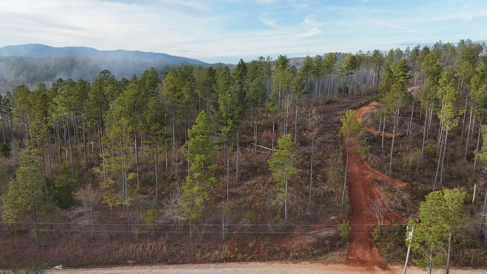 12.2 Acres of Land for Sale in Piedmont, Alabama