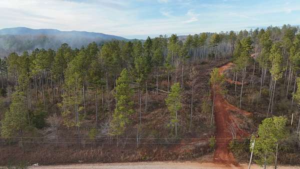 12.2 Acres of Land for Sale in Piedmont, Alabama