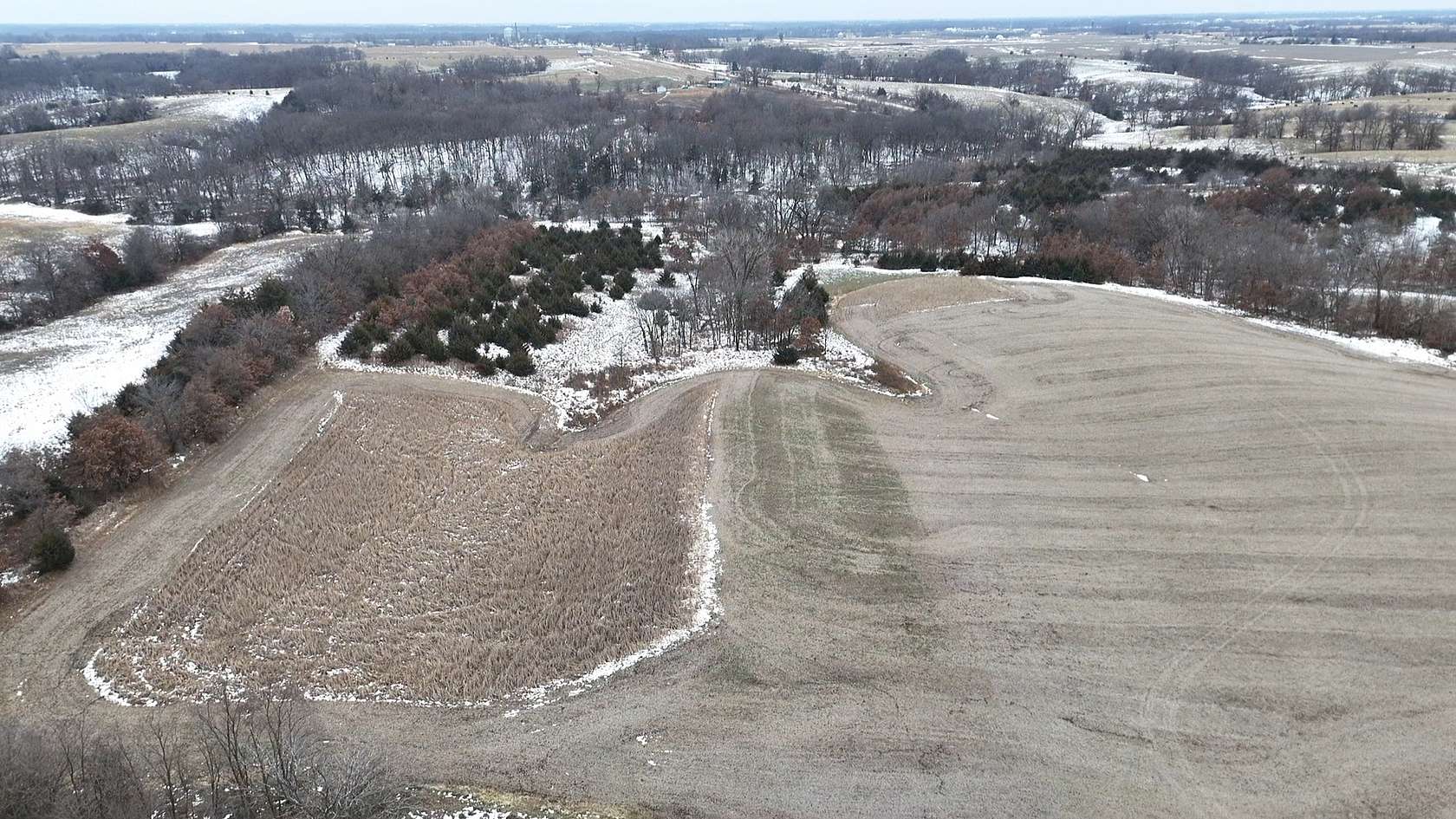 45 Acres of Land for Sale in Bloomfield, Iowa