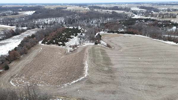 45 Acres of Land for Sale in Bloomfield, Iowa