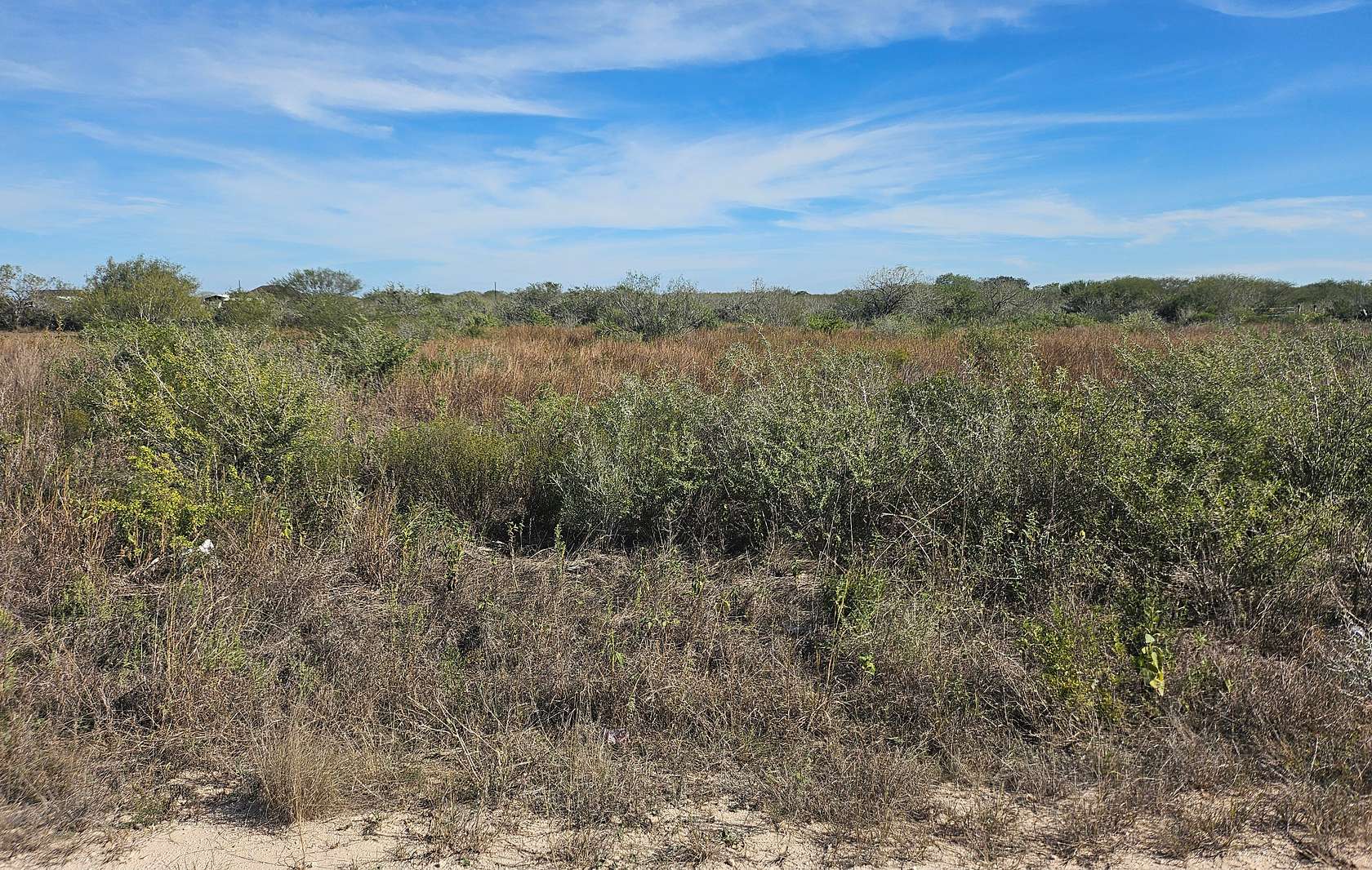0.99 Acres of Residential Land for Sale in Alice, Texas