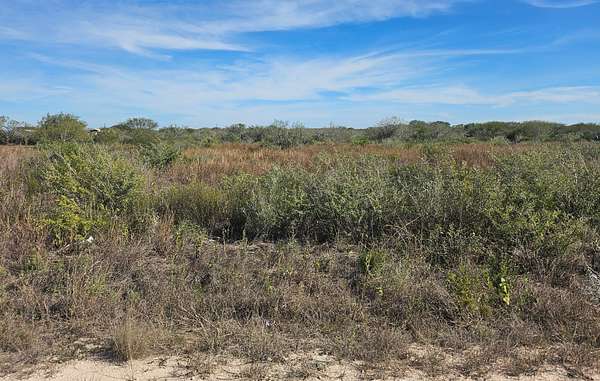 0.99 Acres of Residential Land for Sale in Alice, Texas