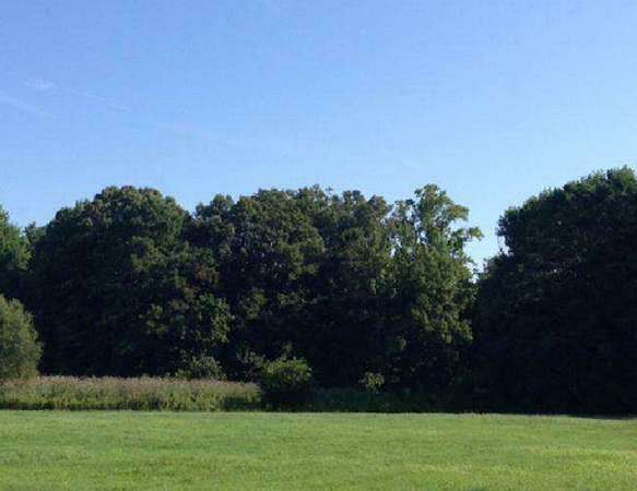 327 Acres of Recreational Land for Sale in Hertford, North Carolina