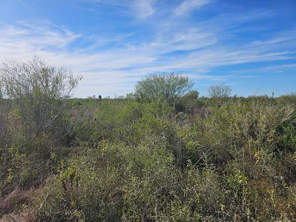 0.99 Acres of Residential Land for Sale in Alice, Texas