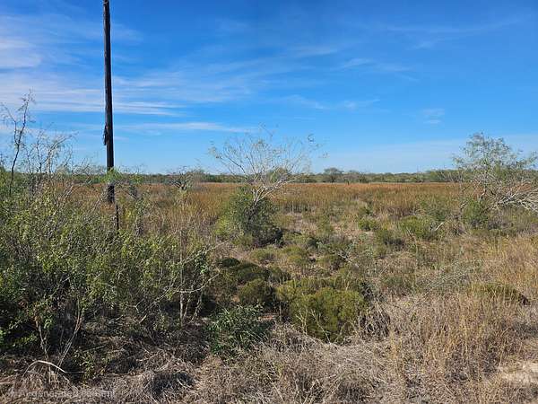 0.99 Acres of Residential Land for Sale in Alice, Texas