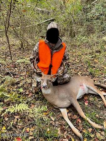 207 Acres of Land with Home for Sale in Osyka, Mississippi