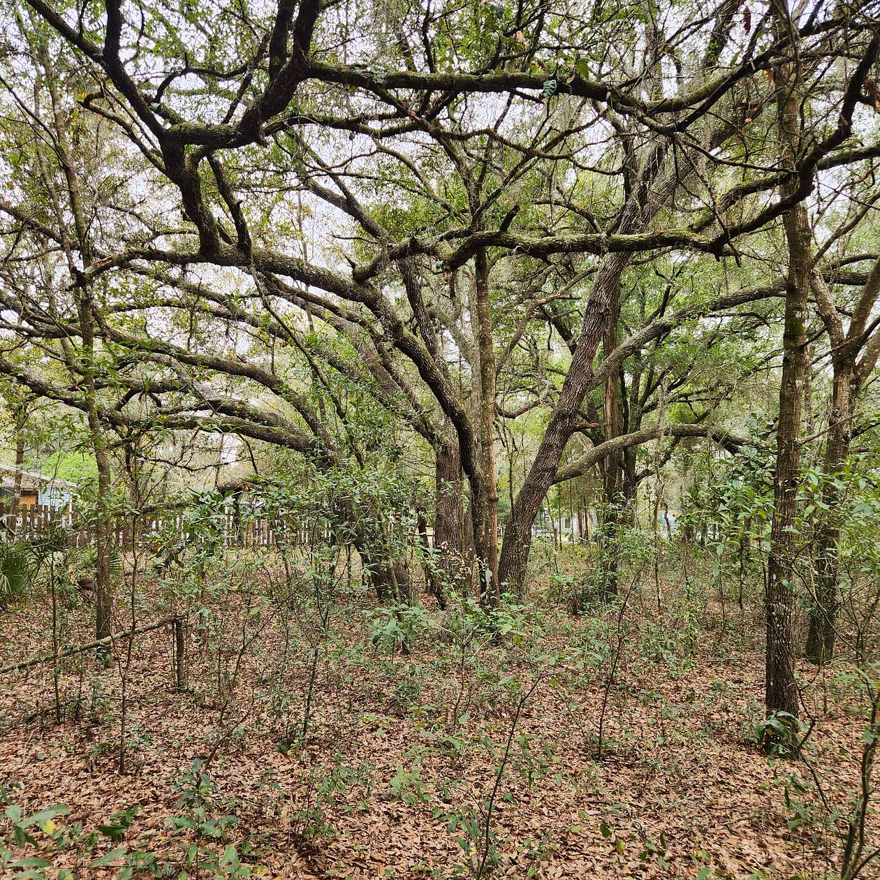 0.75 Acres of Residential Land for Sale in Interlachen, Florida