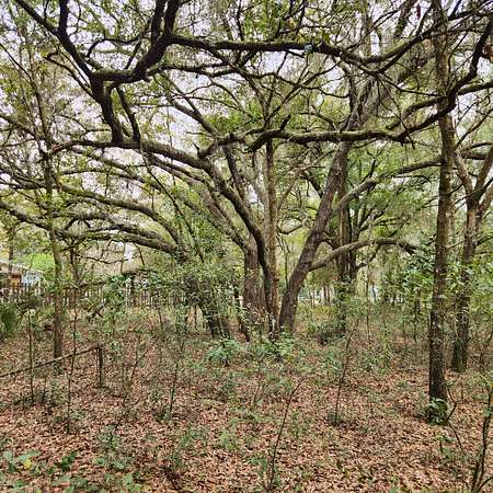 0.75 Acres of Residential Land for Sale in Interlachen, Florida