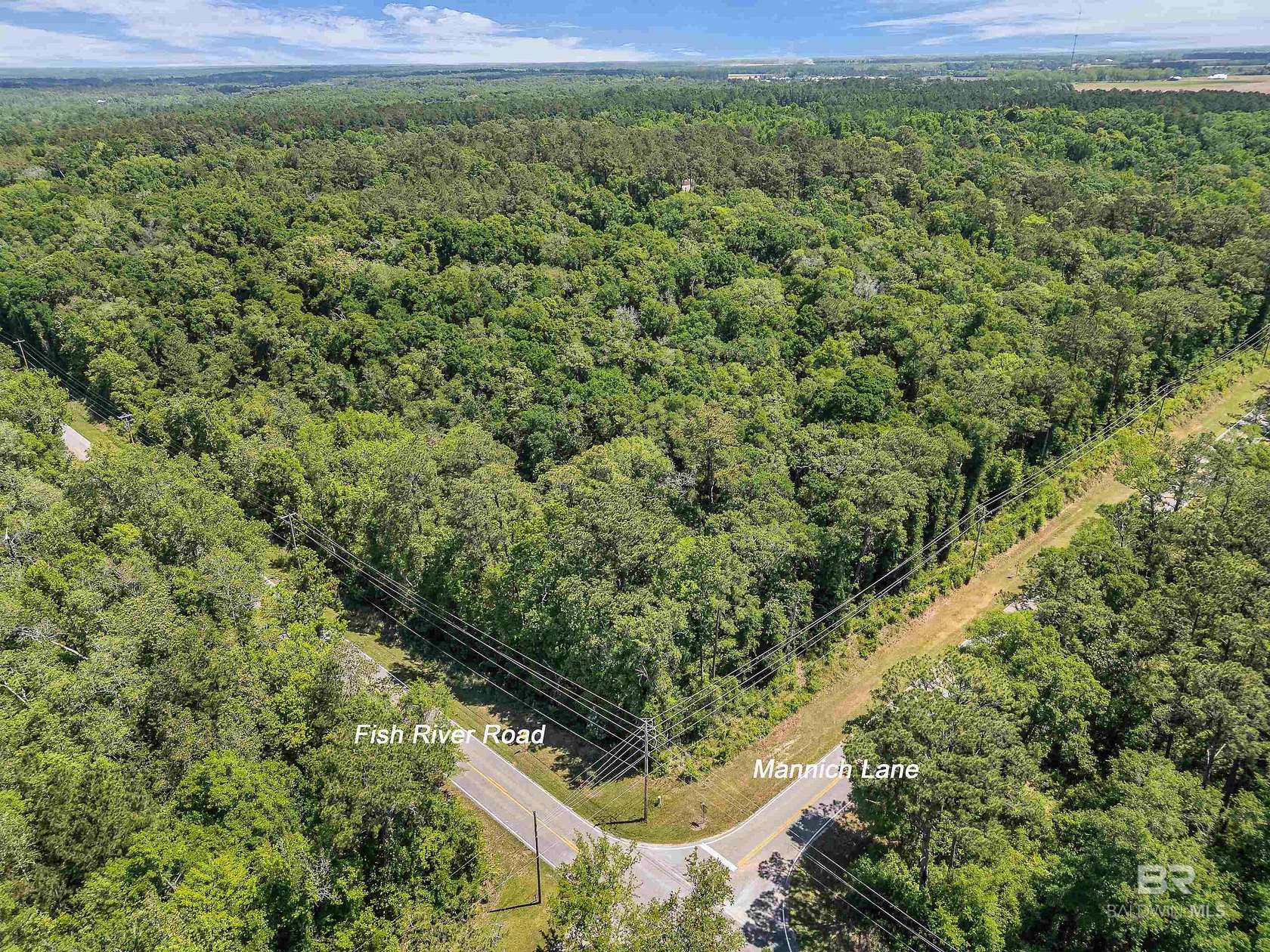 116 Acres of Recreational Land for Sale in Foley, Alabama