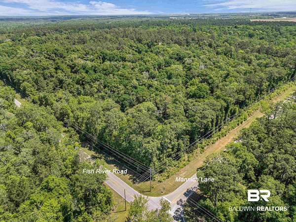 116 Acres of Recreational & Residential Land for Sale in Foley, Alabama